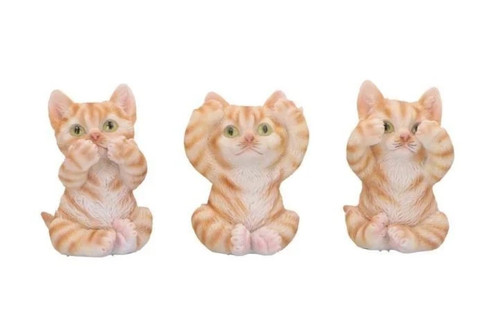 Three wise ginger cats kittens - wise,