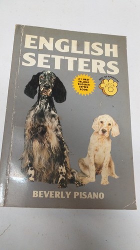 English setters beverly - setters,