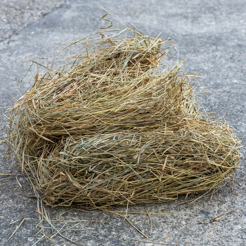 Natural straw pet - natural, 400g