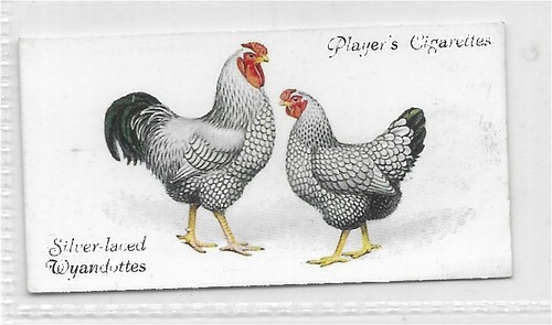 Single card original people - single,