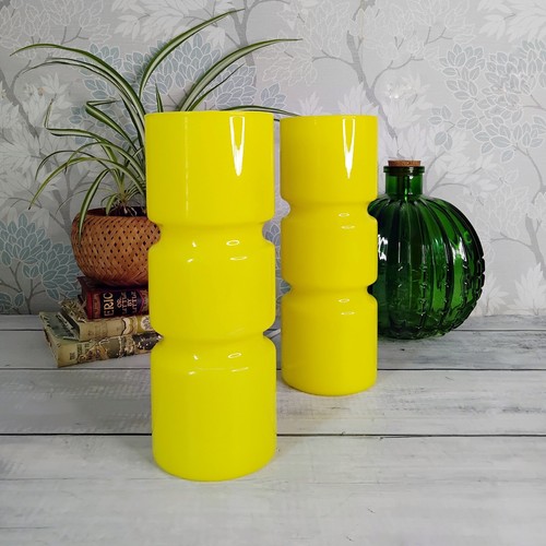 Pair habitat yellow fitz - of,