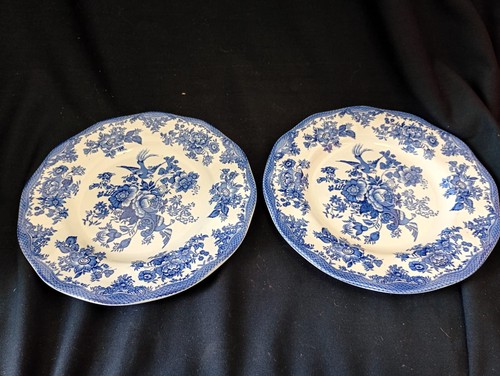 Set rare asiatic - 2,