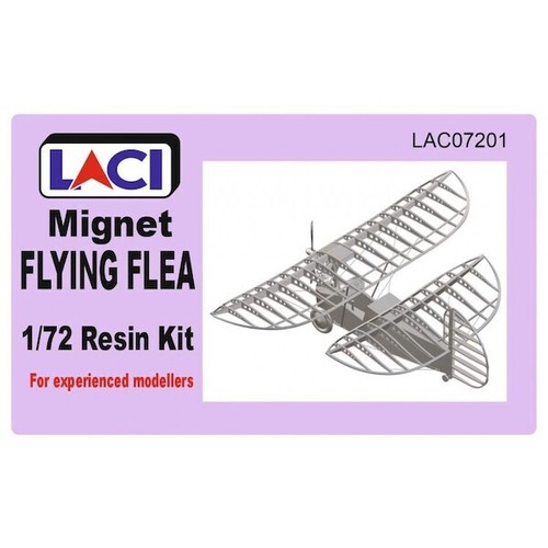 Laci resin model - resin,