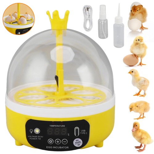 Egg incubator home - egg,