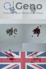 Universal Lighter Flints