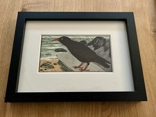 Eric Fitch Daglish - Framed & Glazed - Chough - Dated 1948