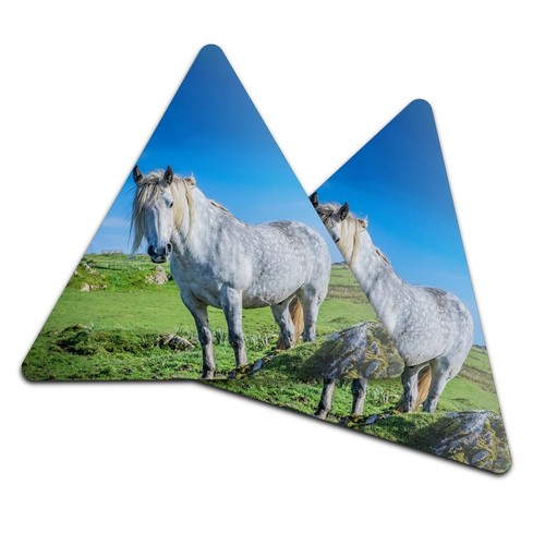 Triangle coaster highland - coaster,