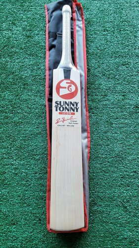 Sunny tonny icon english - tonny,