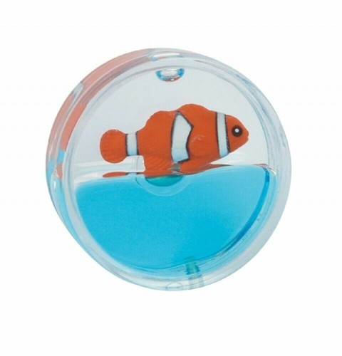 Ravensden clown fish - ravensden, nemo