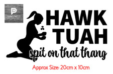 HAWK TUAH SPIT ON THAT THANG CAR STICKERS DECALS BUMPER WINDOW VAN VINYL FUNNY