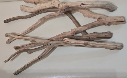 Large manzanita hand sanded - manzanita,