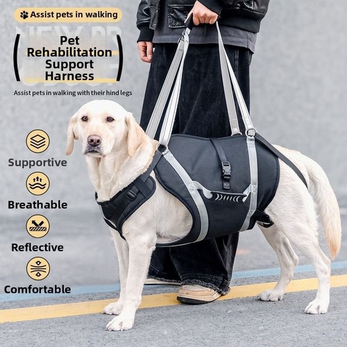 Adjustable dog lift - adjustable,