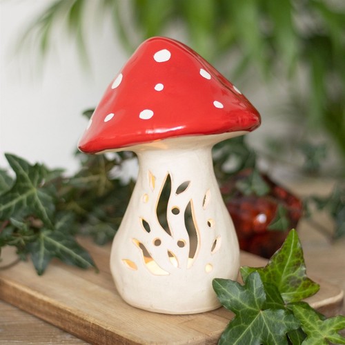 Enchanted forest mushroom - enchanted,