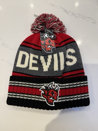 Cardiff devils ice - cardiff, hockey