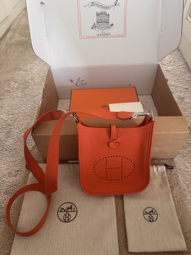 Hermes evelyne amazone bag - hermes,