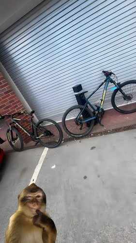 Lapierre edge 9 - edge, 5.9