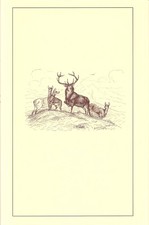 BREADALBANE SCOTTISH DEER STALKING BOOK HIGH TOPS OF BLACK MOUNT hardcover NEW