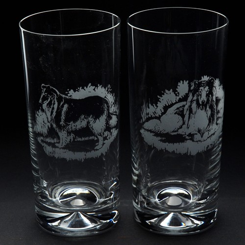 Rough collie dog - dog, highball