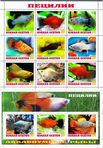 Stamp sheet block platies - sheet+block,