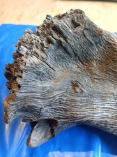 Gnarled / Textured Driftwood Piece 31x13x8cm  Approx For Craft /  Vivarium