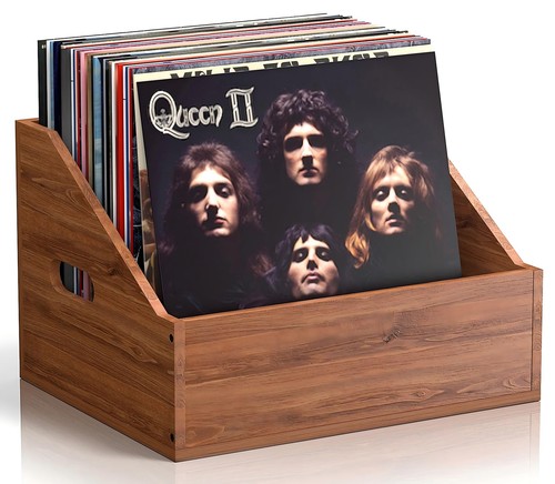Wood vinyl record - vinyl,