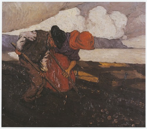 Potato diggers dooega head - diggers,