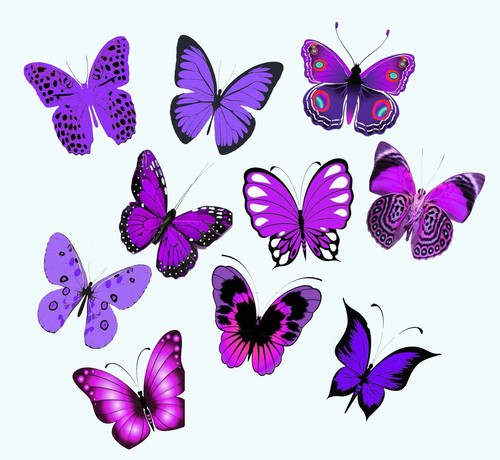 5cms purple violet - 5cms,