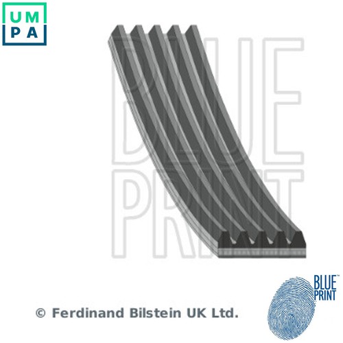 Vribbed belt ad05r1005 - vribbed,