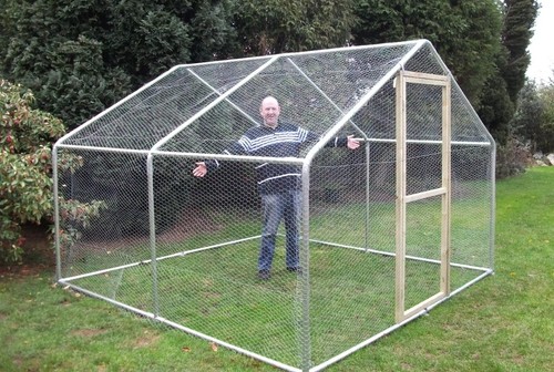 Walk chicken run steel - chicken,