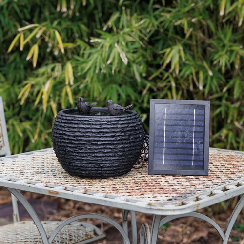 Primrose 25cm solar water - 25cm,