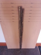 Rare Holly walking stick shank