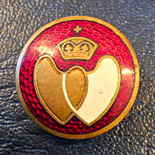 Blood donor enamel pin - blood,