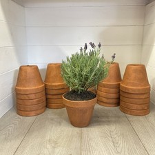 Vintage Terracotta Pots 13cm x