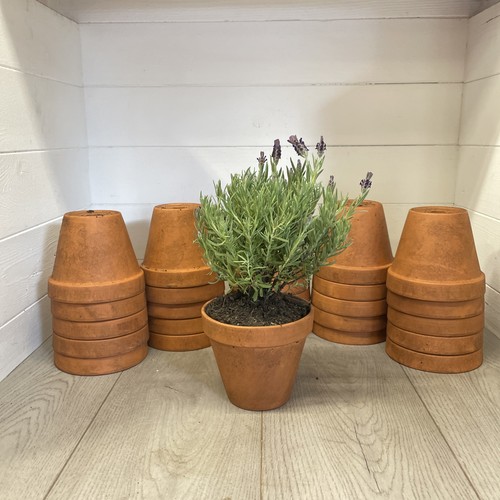 Vintage terracotta pots 13cm - vintage, x