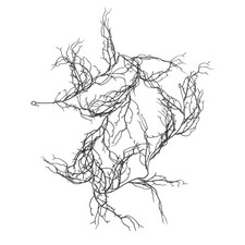  Artificial Twig Decor Weathered Willow Branches Craft Stems Decorative Spray