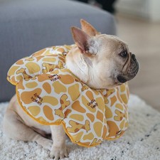 Soft Pet Recovery E-Collar