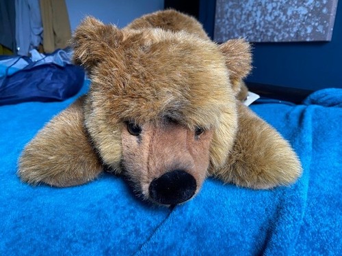 Vintage 55cm steiff urs bear - steiff,