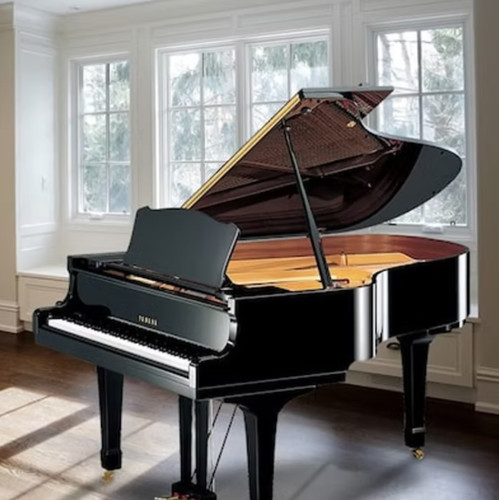 Yamaha grand black - in,