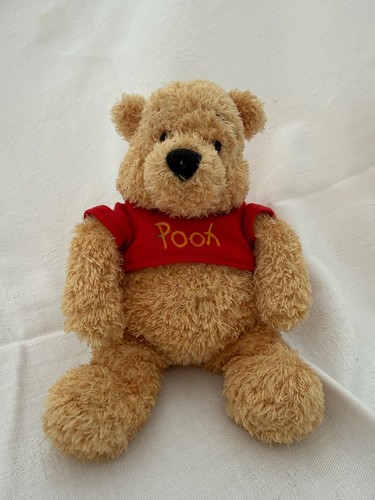 Disney store winnie the pooh - winnie,