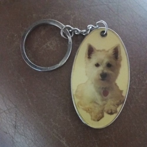 West highland terrier best - highland,