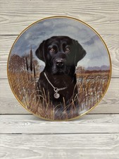 Black Labrador dog Porcelain
