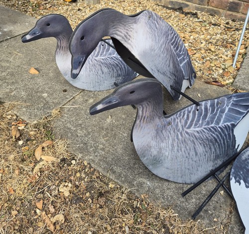 Gese decoys - gese,