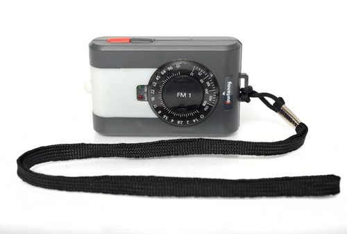 Courtenay flash meter - courtenay,