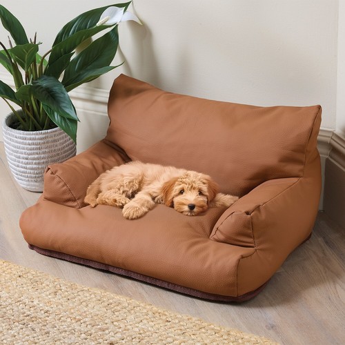 Luxury pet sofa bed - sofa, dog