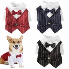 Gentleman Dog Clothes Wedding