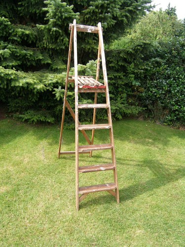 Vintage stand steps display - stand,