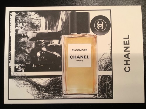 Chanel sycamore postcard from - postcard,