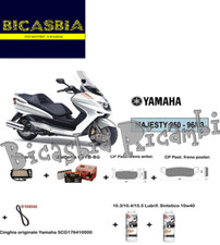 10761 - Maintenance Kit Oil