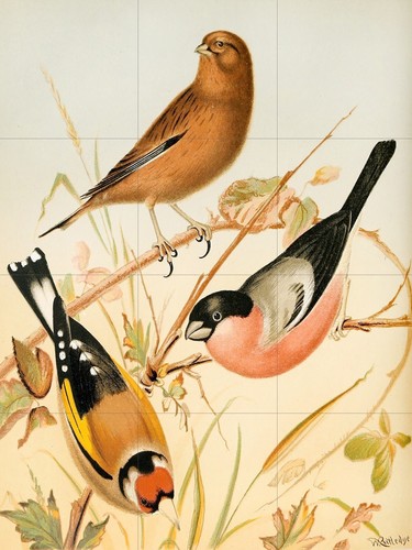 Tile mural mosaic ceramic - mural/mosaic,