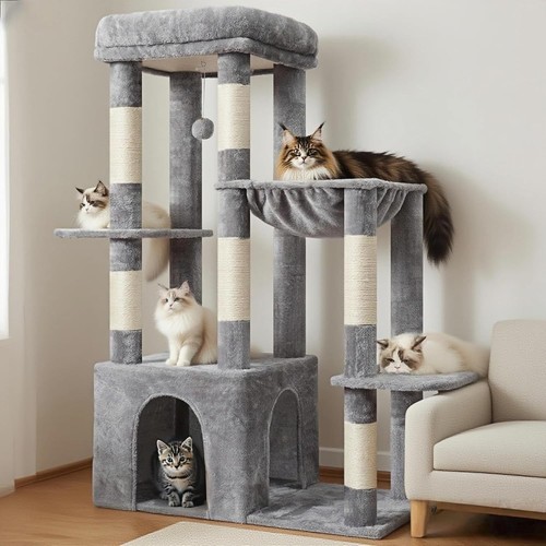 Heavy duty cat - duty,